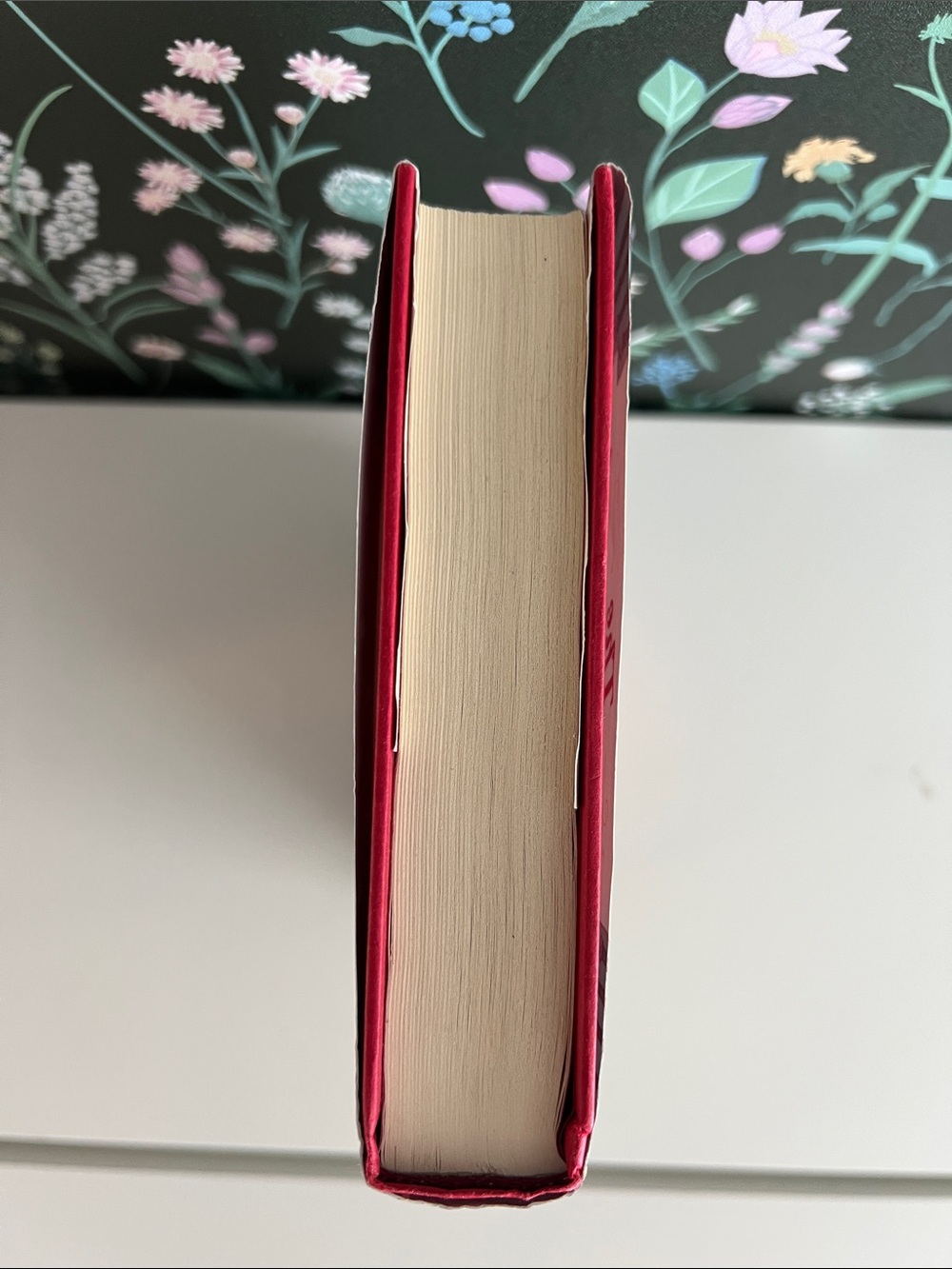 The Swifts: A Dictionary of Scoundrels, written by Beth Lincoln Hardcover book - Picture 5 of 17